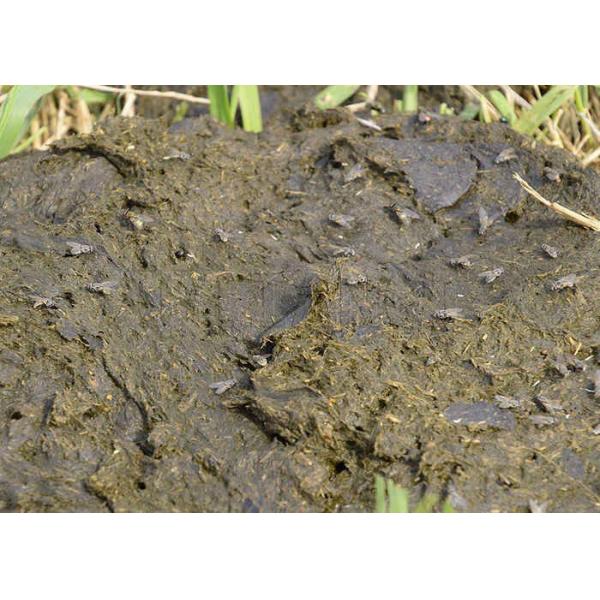 Organic Waste Fermentation Compost Machine High Temperature Compost Fermentation Tank 1-20m3