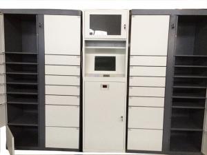 China Electronic Smart Parcel Delivery Lockers for University Online Shopping Delivery on sale