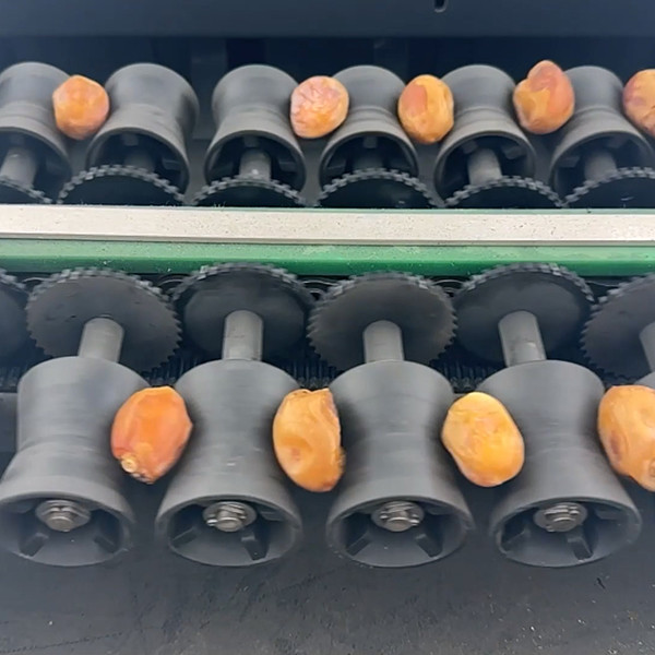 Unrivaled Accuracy Achieves Perfection In Date Sorting Grading Machine With High