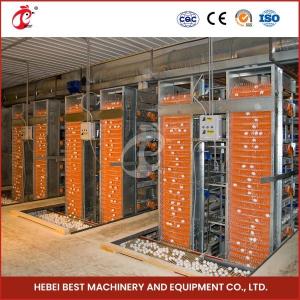 China H Type Layer And Broiler Automatic Battery Chicken Cage Equipment House Design Ada on sale