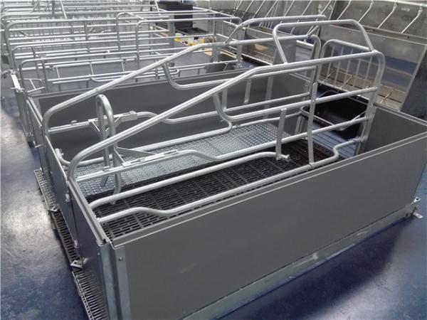 Buy Light Structure Hog Farrowing Crates , Pig Birthing Pens Corrosion Resistance at wholesale prices