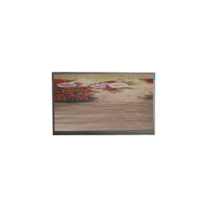 China New Original 720*1520 LCD Screen panel U062SWR5-0 6.2 inch LCD Touch Display on sale