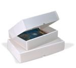 Long lasting and good quality PP corflute boxes for office file storage use