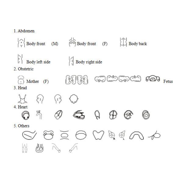 CLS5800 laptop Veterinary Ultrasound Scanner Full Digital Ultrasonic Diagnostic System
