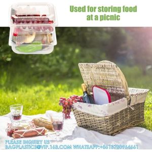 Square Hinged Food Container,Plastic Take Out Containers,Disposable Clamshell