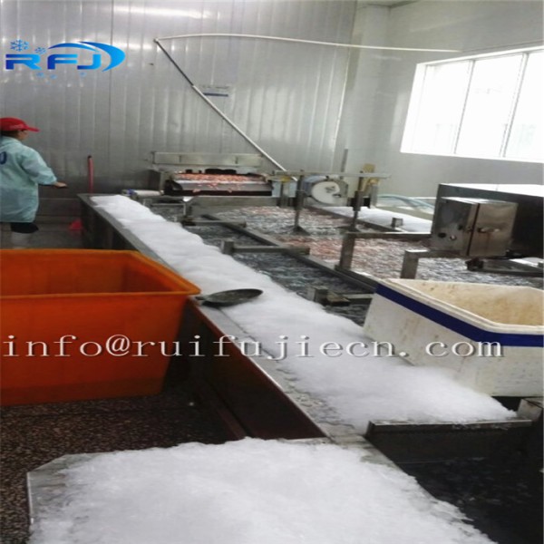 Industrial Flake Ice Machine 3 Tons 380V/50HZ Bock / / Compressor