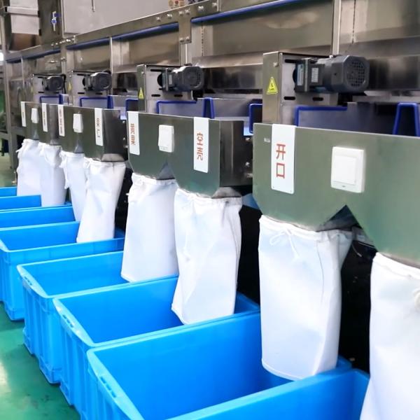 Buy 20 Feed Channels Pistachio Nuts Sorting Machine With Automatic Cleansing at wholesale prices