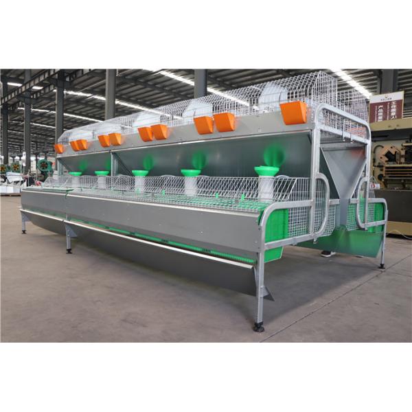 Stable Farm Rabbit Cage Automatic Drinking / Cleaning 25 Years Use Life