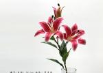 High Imitation Multiple Artificial Lily Flower Branch With 2 Flowers And A Bud