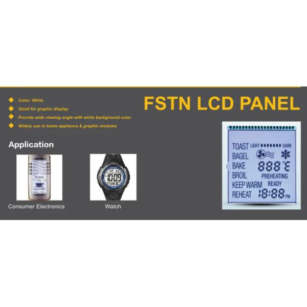 Wide Viewing Angle FSTN LCD Display Module For Electronics Products