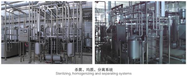 Buy Full Automatic Milk Production Line , Milk Pasteurization System One Year Warranty at wholesale prices