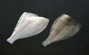 Quality Frozen Yellowfin sole fillets skin-on for sale