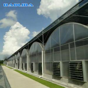 China Large Polycarbonate Film Greenhouse / Multi Span Greenhouse Multi Functional on sale