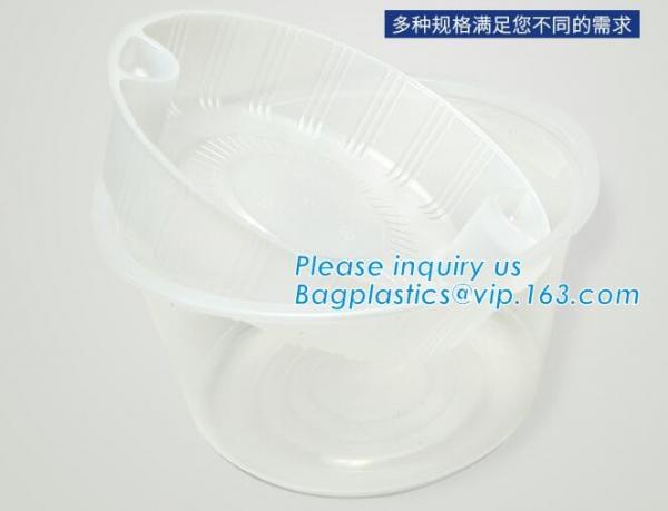 blister 8 pcs PP Various packaging /clear plastic disposable frozen food mochi cake tray,Disposable Vacuum Forming Packi
