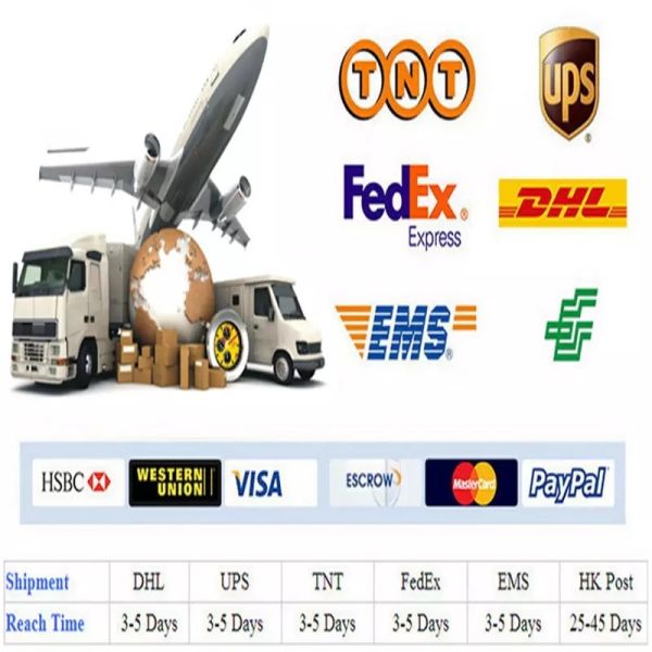 Core i5 10400 AIO Desktop Computer ram 8GB SSD 256GB 21.5"