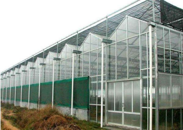 Buy Agricultural Polycarbonate Sheet Greenhouse Double Arch Multi Span Structure Frame at wholesale prices