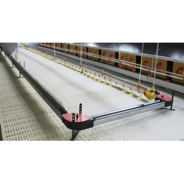 Easy Clean Plastic Slatted Floor Poultry House Customized Color