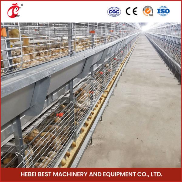 Poultry Farm Automatic Pullet Chick Brooder Cage For Day Old Layer Chicken Ada