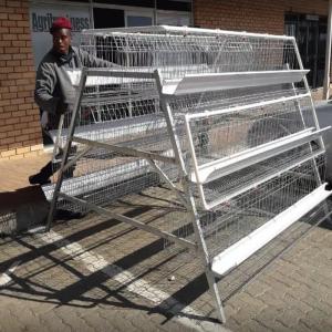 Quality Hot Galvanized A Type Poultry Cage New Design Big Size for sale