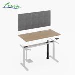 Modern Work Office Desk with Cable Management Uplift Standing Desk 355 Lbs