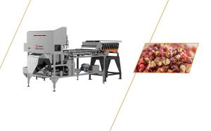 High Speed High Yield Pepper Crawler Sorting Robot 0.5 - 1T/H