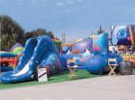 Fantasy Inflatable Entrance Tunnel With Eagle Mascot For Sports Event