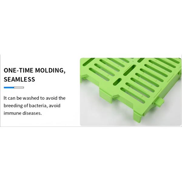 Piggery Plastic Flooring , Poultry Plastic Slatted Floor For Pigs