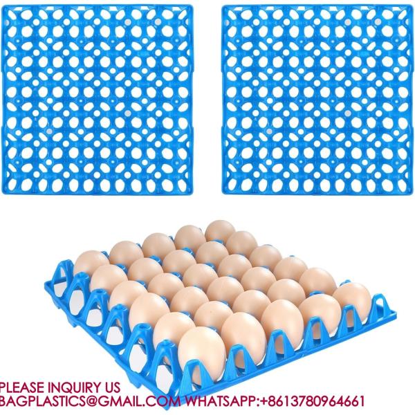 Plastic Egg Tray Egg Crates 30-Egg Flats, Stackable Egg Cartons Hold Multiple Eggs