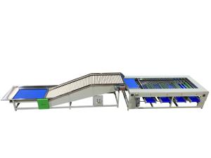 Quality Stainless Steel Roller Sorting Machine With Automatic Sorting Functionality for sale