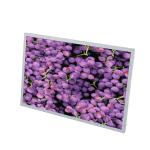 12.1 Inch TFT LCD Touch Screen Led Driver Integrated A Grade Wide View Angle
