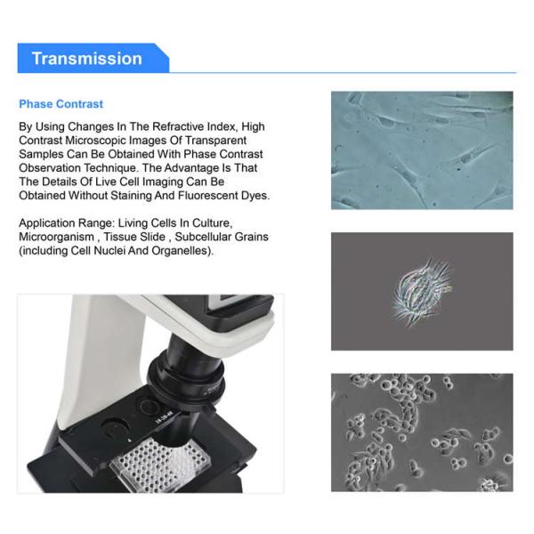 OPTO EDU A14.1064 Inclined Phase Contrast Fluorescence Microscope
