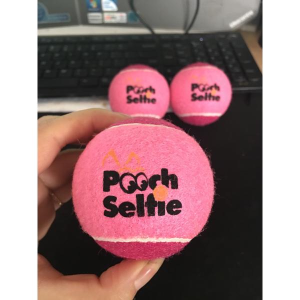 dog training tennis ball toy