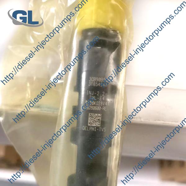 Delphi Diesel Fuel Injector EJBR04901D 28280600 For TATA 278901160101