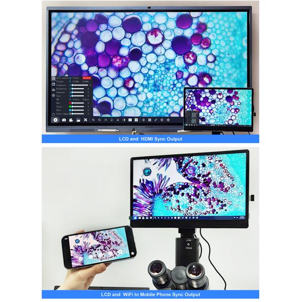 11.6" 8.0M Digital Microscope Camera with 4K 3840x2160 Resolution