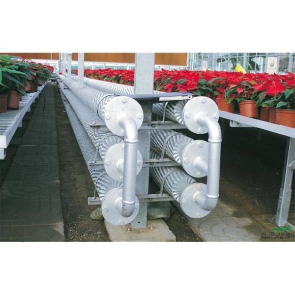 Agricultural Intelligent Sunlight Polycarbonate Greenhouse with Insect Proof Net