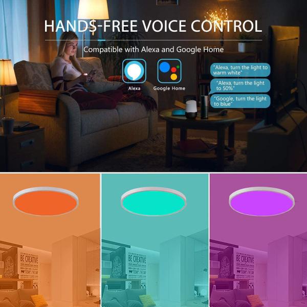 Dimmable Bedroom Ceiling Led Music Ceiling Light For Smart Home Tuya Glomarket