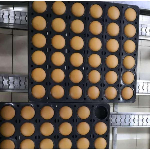 Full Automatic cake line ,muffin depositor, cake machines ,Cupcake automatic production line,cake machines
