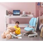 Modern Design Adjustable Height Study Table for Small Computer in Library