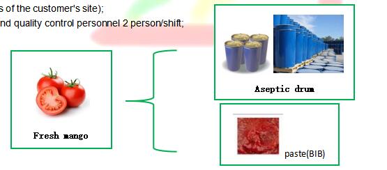 300kgs/H Jam Paste Sauce Processing Line Automatic