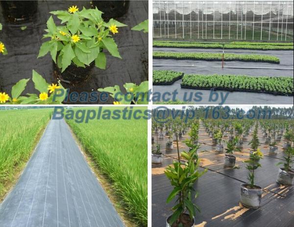 Agricultural garden weed barrier mat/weed barrier cloth,Black plastic anti weed mat/ground cover/weed barrier mat, BAGEA