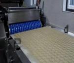 Food Grade Biscuit conveyor machine cotton belt