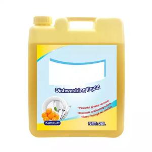 Quality Customized Large Plastic Jugs Liquid Detergent Empty Bottle With Handle And Screw Cap for sale