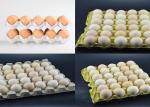 Computer Control Egg Tray Carton Manufacturing Machine Low Consumption