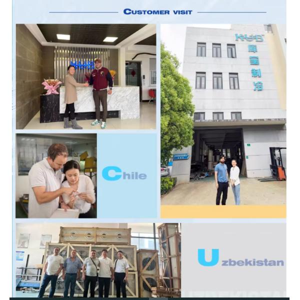 10m³ Cold Storage House Sold Separately Cold Storage Curtains Fan Shelves -18℃ Cold Storage Facilities Chamber