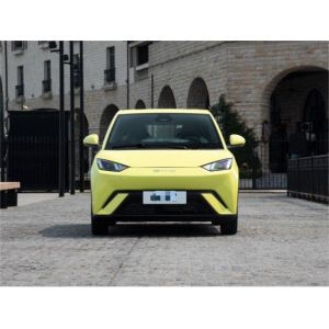Yellow Byd Seagull Hatchback Vehicle Automobile Pure Electric 5 Seat