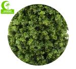 Handmade H165cm Artificial Cypress Trees Outdoor With Single Trunk