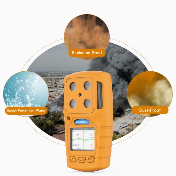 4 In 1 IP64 Portable Multi Gas Detector Poisonous Combustible Gas Analyzer