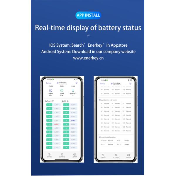 Lithium Lifepo4 BMS Smart Active Balancer 8A 16S 24S Battery Equalizer 48V