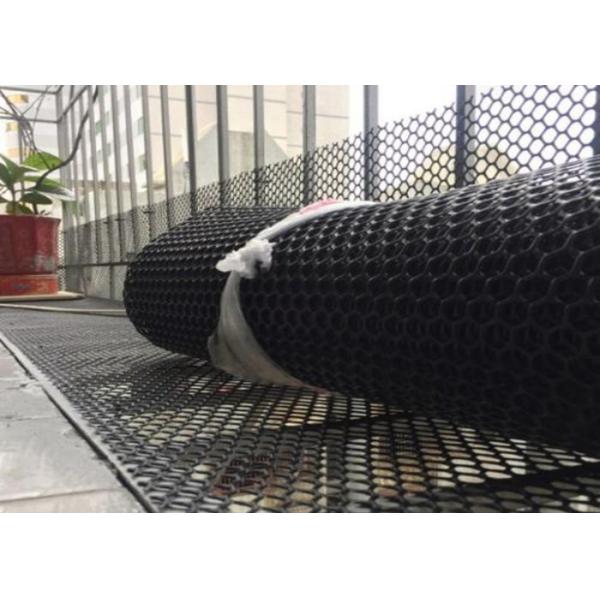 ISO9001 Black Flat 20X20mm Hdpe Netting For Breed