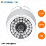 Motion Detective P2P Mini Bullet Network Security Cam
